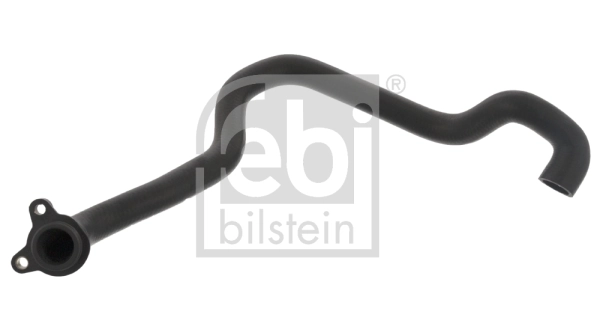 Radiator Hose